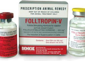 Buy Folltropin online