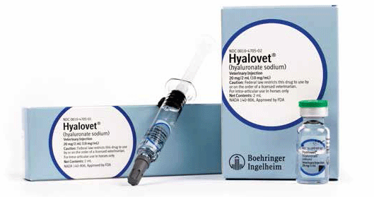 Hyalovet wholesalers online