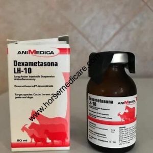 Buy dexametasona lh-10 20ml