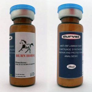Buy burn-horse-15-ml