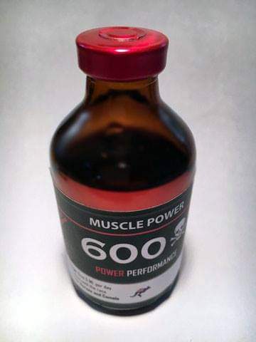 Buy muscle-power-600-50-ml online