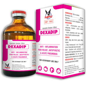 Buy dexadip online