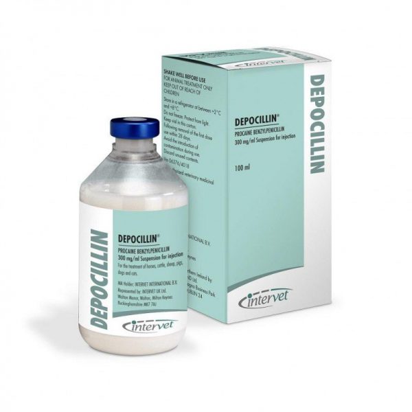 Depocillin 300 mg/ml Suspension for injection
